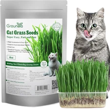 Cat Grass Seeds, 4 Oz, Non-Gmo Wheat Cat Grass Seeeds & Oat Seeds Mix, High Germ