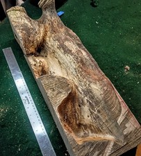Massive Maple Burl Casting Blank 20-1/2 x 6-3/8 x 4-1/2 Live Edge 9 LB