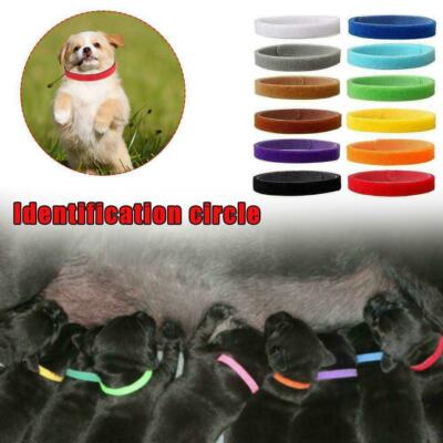 litter identification collars