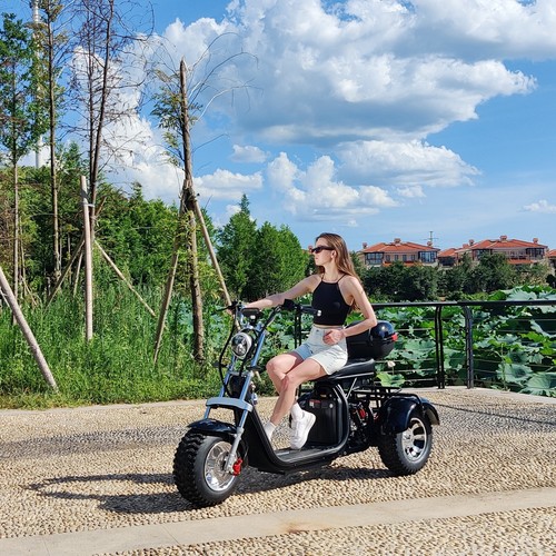 Max Loda 250KG Electric Tricycle Aldult Fat Tire Scooter 2000W Max Speed 45KM/H - Picture 4 of 24