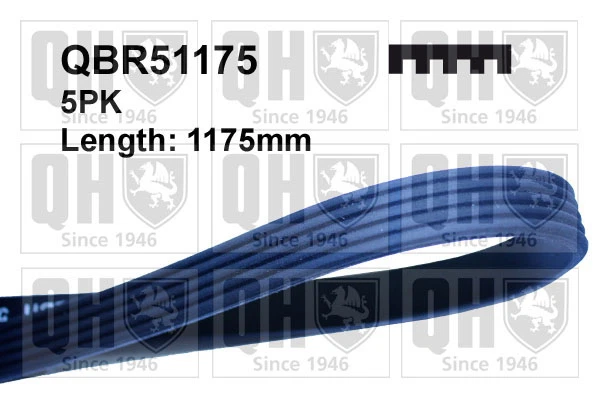 COURROIE TRAPEZOIDALE A NERVURES 5PK1173 - Photo 1/1