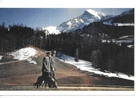 PHOTO - ADOLF HITLER AND HIS GERMAN SHEPHERD DOG DOG THE ALPS / 15 cm x 10 cm