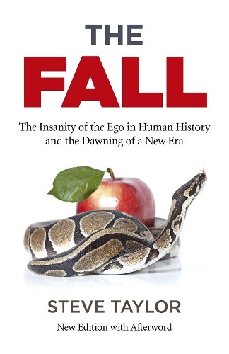 Fall, The (new edition with Afterword) by Steve Taylor - 9781785358043