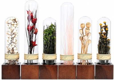 6Pcs Dried Flower Decor,Knick Knacks for Shelves,Cool Stuff for Bookshelf,Small