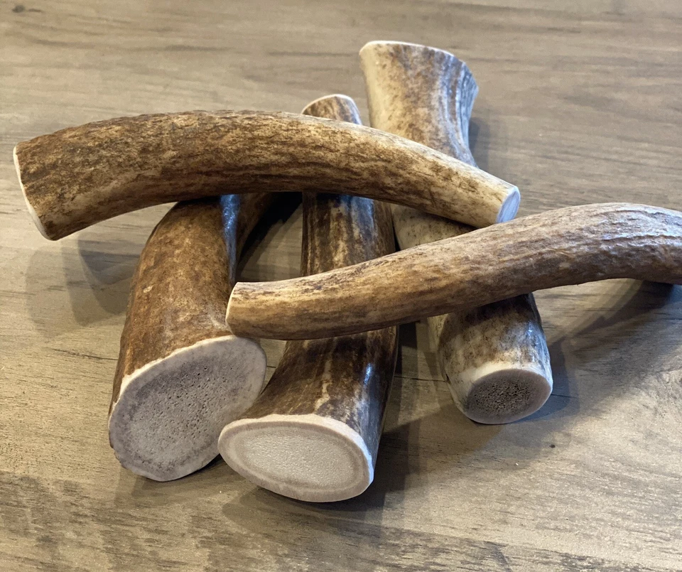 (3 PACK) MEDIUM  Elk/Deer Antler Premium Dog Chews **OREGON ANTLER WORKS** - Image 3 of 4
