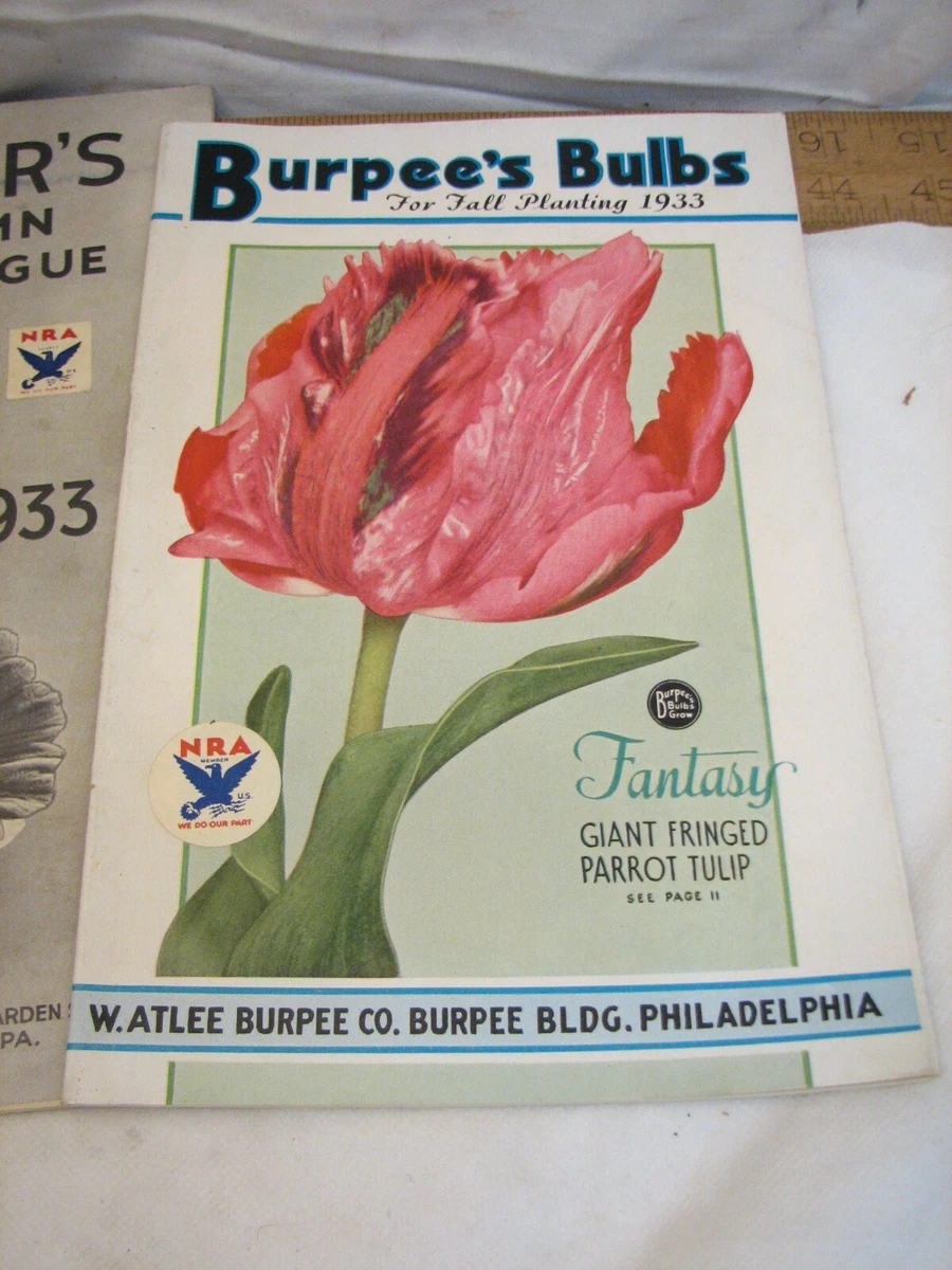 Flower Bulb Catalogs Best Flower Site