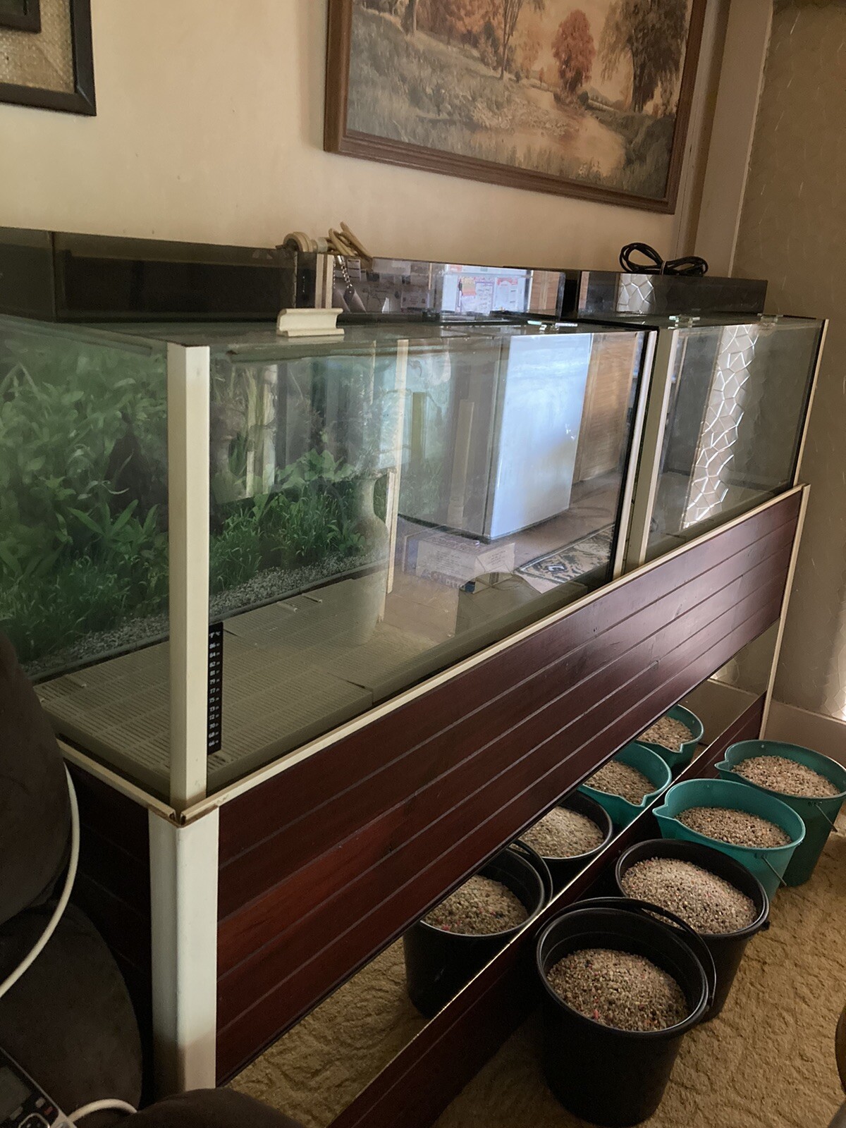 fish tank eBay