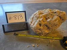 6" Medium Pumice Stone Floating Natural Rock Carnivorous Succulent Garden #813