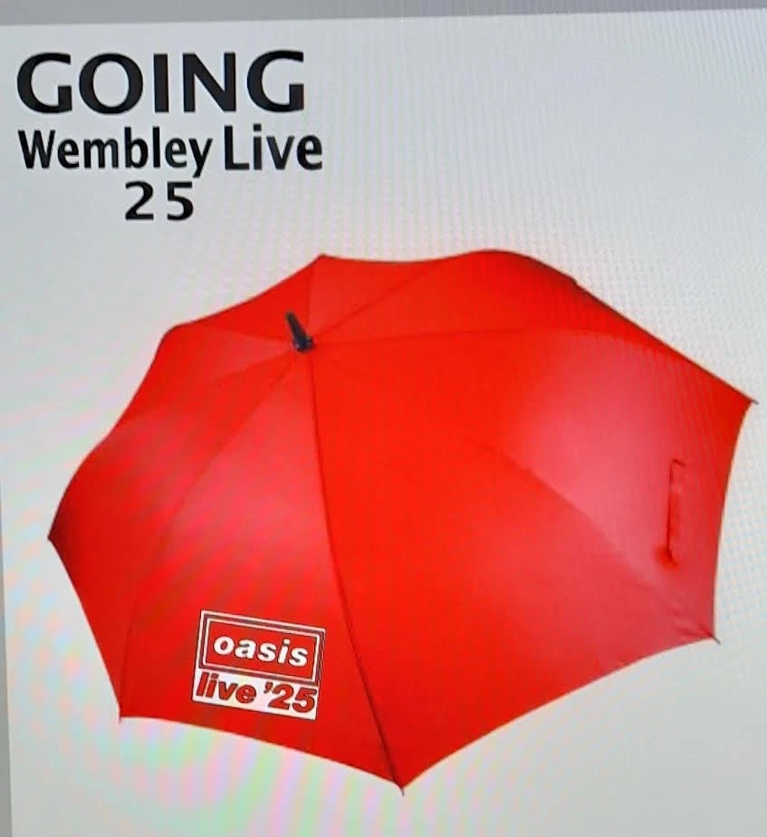 Personalised Storm OASIS Umbrella ideal  Printed 2 panel 1 colour - Image 4 of 4