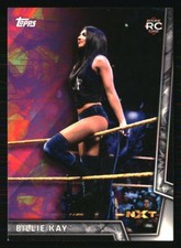 Billie Kay 2018 Topps WWE Women's Division #34 WRESTLING Card