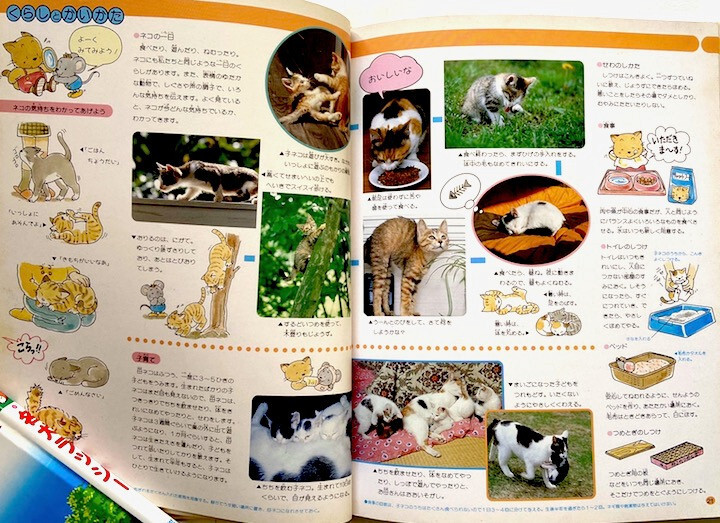 Children's Encyclopedia, Taiken wo Hirogeru Kodomo no Zukan