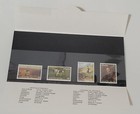 Picture 3 of 5