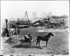 Bean threshing on the Centinela Ranch later Inglewood California Old Photo