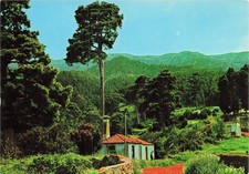 SPAIN GARAFIA SAN MIGUEL DE LA PALMA