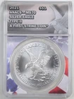 2021 Type 2 1oz Silver American Eagle MS70 ANACS 153920