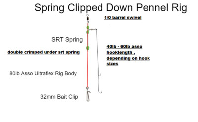 10 x Spring Clipped Down Pennel Rigs Meeresangeln Barsch ABERDEEN HAKEN