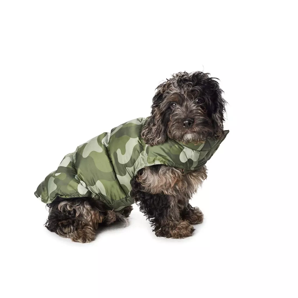Hotel doggy clothes 2025