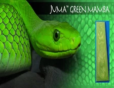 1 Green Mamba Juma .250" ( 1/4" ) Scale 2" x 12" - Knife Handle Material Blank