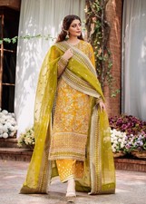 Pakistani Designer Dress