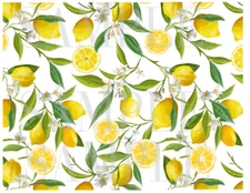 LEMON EDIBLE image Cake Decorations lemon cake stripes High Quality Icing sheet 