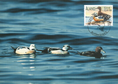 AK Ente, Steller's Eider Scheckente Åland gel. Marke/Stempel  2001 (Nr. 2125)