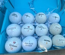 12 Mixed Brand White Lake Golf Balls