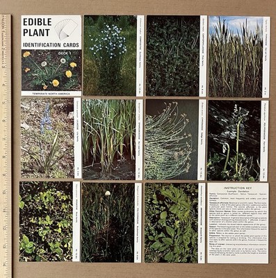 Edible Plant Identification Cards, Deck 1 Temperate North America 50 Cards VTG