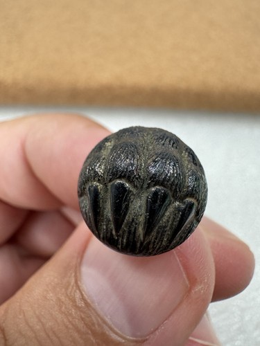 Antique Victorian 1930s Black Glass Bear Claw Paw Buttons - Picture 21 of 24