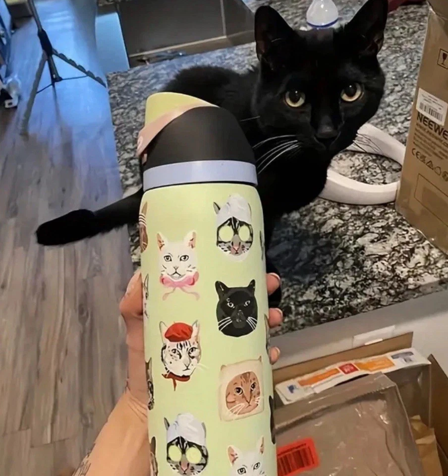 Owala 32oz FreeSip Cat Collage Catwala Bottle Urban Outfitters Exclusive