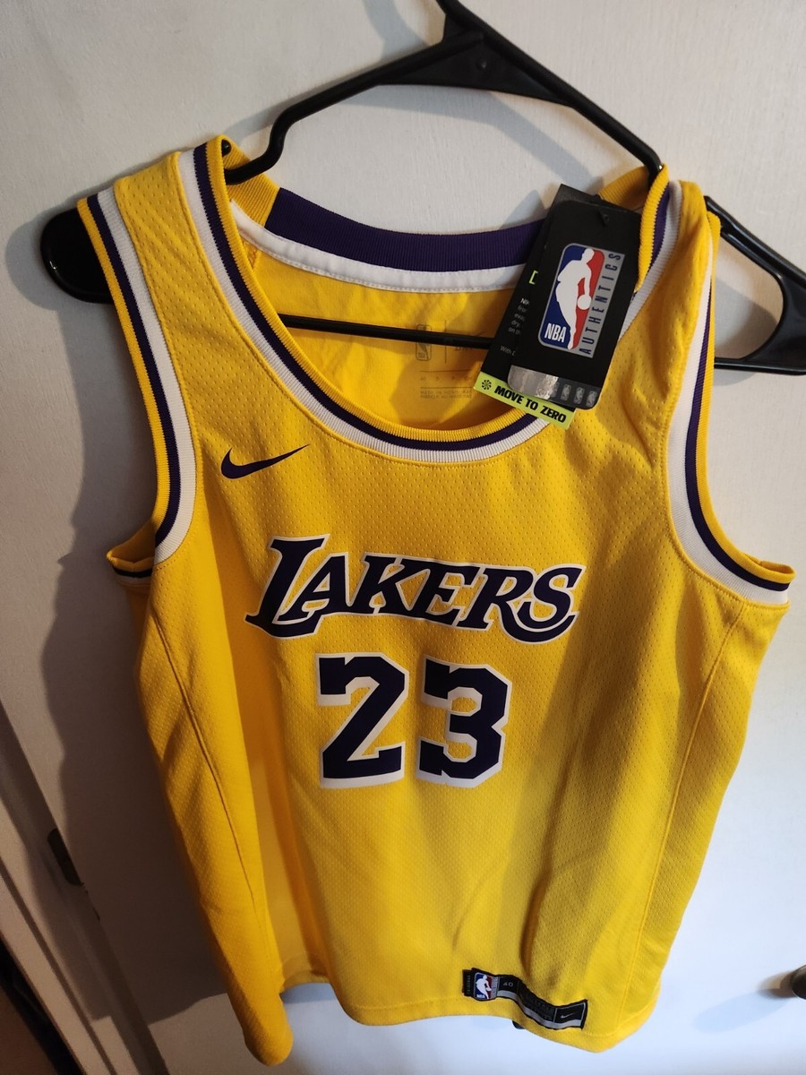 Nba Lebron James Icon Edition Swingman Lebron James Icon Edition