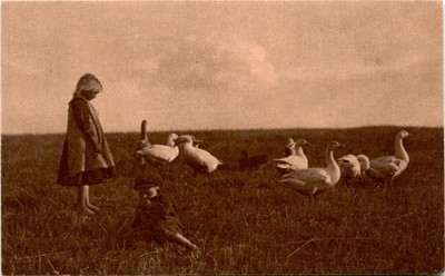 Arnold Holzer, Eulen-Verlag, Berlin SW. 68 Postcard