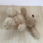 Bild 8 von 10