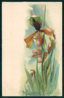 Artist Signed Catherine Klein Flowers Orchidea ABRADED cartolina TC6874