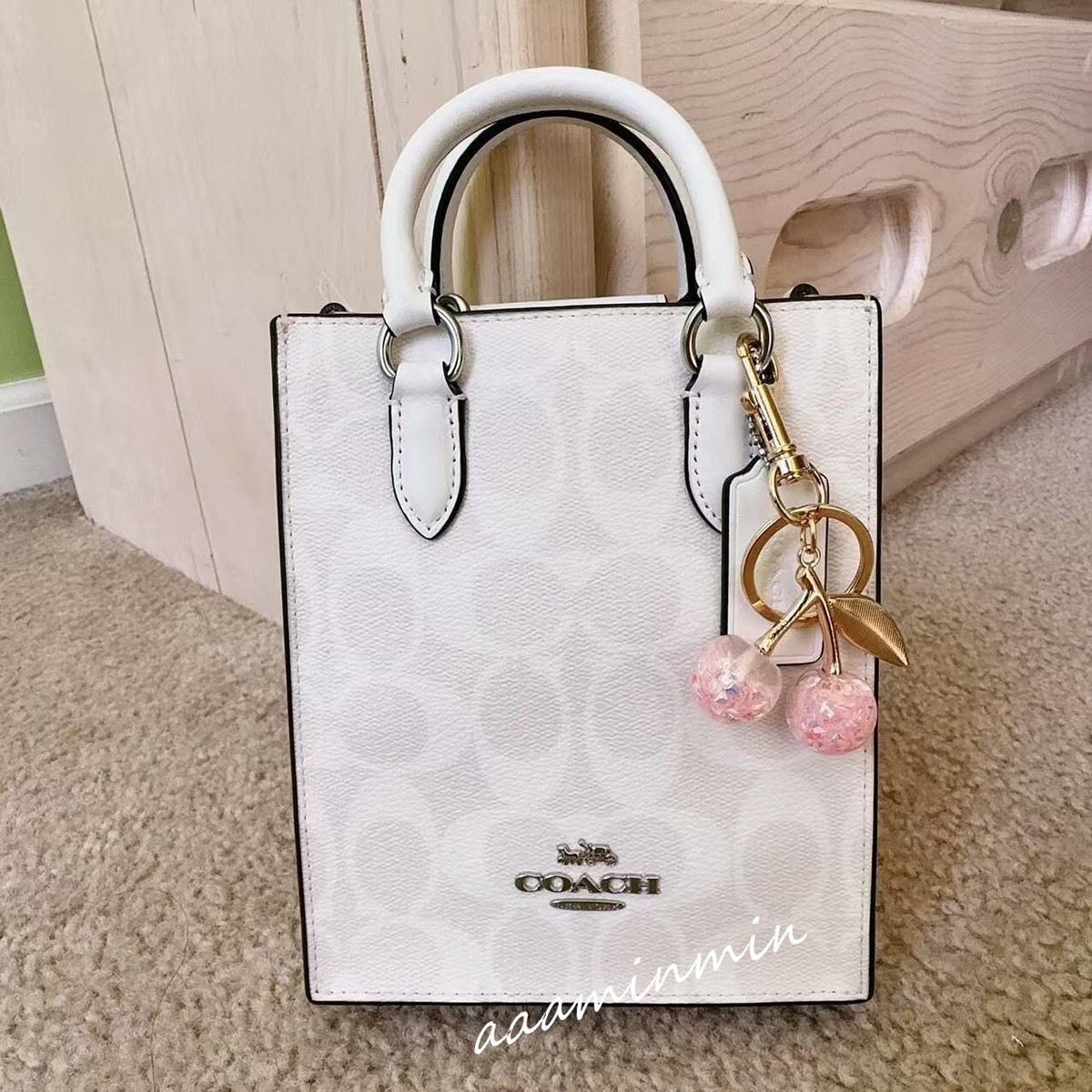 NWT Coach North South Mini Tote In Silver Metallic With