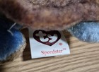 Ty Beanie Babies  SPEEDSTER the Not So Speedy Leather Back Sea Turtle MWMTS 2004 — photo 5