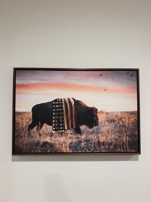 Teri James Photography ''Patriotic Bison'' Framed Canvas Wall Art (20'' x 30'')