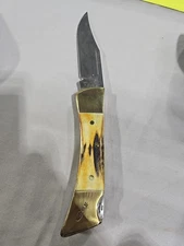 1991 Case XX 5159L SS Hunter Lockback Knife Stag Handles