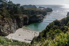 Point Lobos, California: Landscape Metal Photography Print 24x36 by Radu Sava