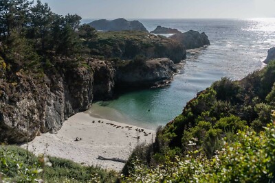 Point Lobos, California: Landscape Metal Photography Print 24x36 by Radu Sava