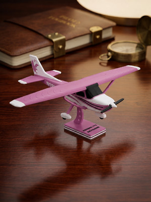 3D Printed Cessna 172 Skyhawk Model Kit Display   Pink Dominant 
