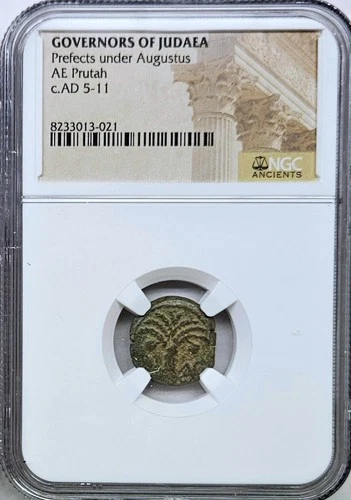 A-DS10 - Judaea - Augustus Prefects AE (AD 5-11) Prutah NGC (HG) High Grade Coin