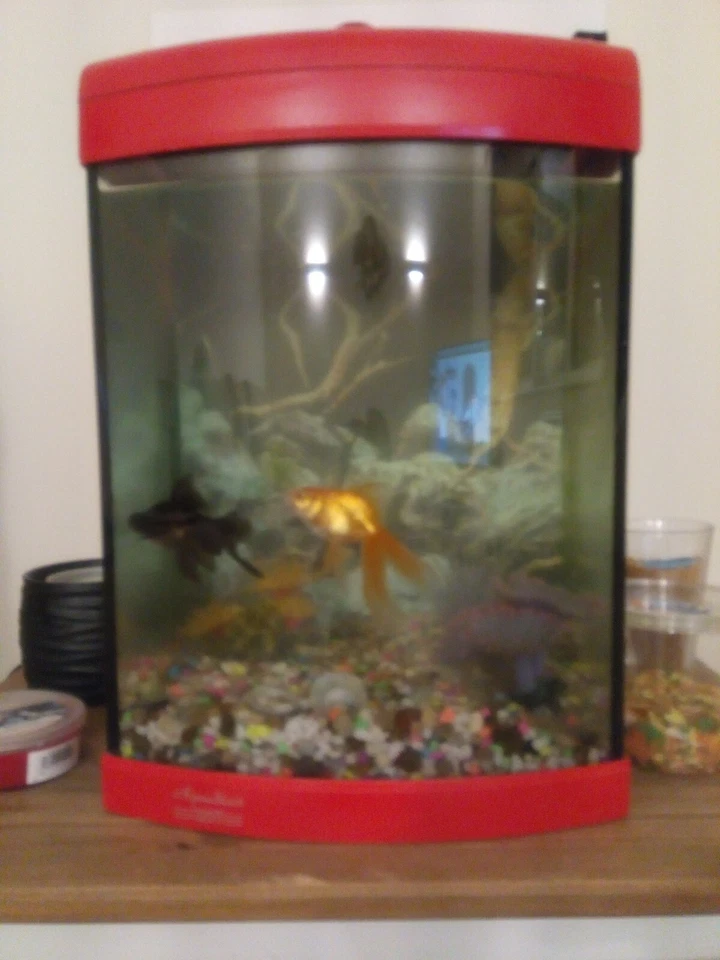 starter fish tank - Image 2 of 3