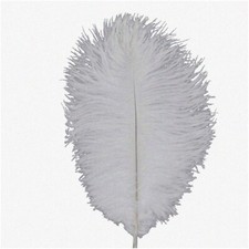 Elegant Feathered Bliss - 20 White Ostrich Plumes for Stunning Wedding Centerpie