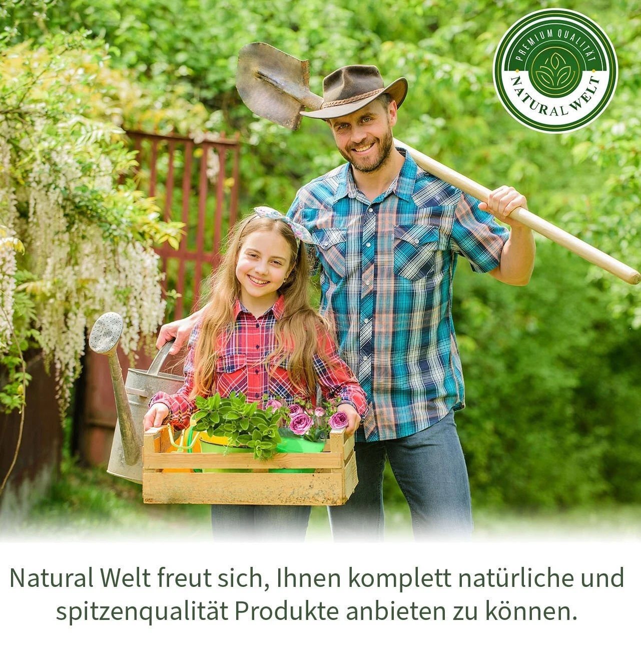 Bild 12 von 13
