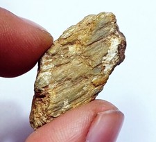 100% Natural Chrysoberyl Cat's Eye Rough 19.70 Ct Loose Gemstone For Sale