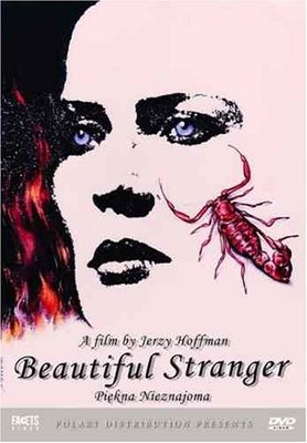 Beautiful Stranger [DVD] [Disc-Only, EX-LIBRARY]