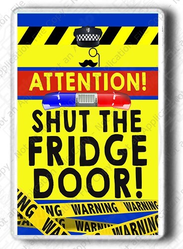 Funny Fridge Magnet | Novelty  Gift | Shut the fridge door | Large Magnet 9*6cm - Afbeelding 1 van 2