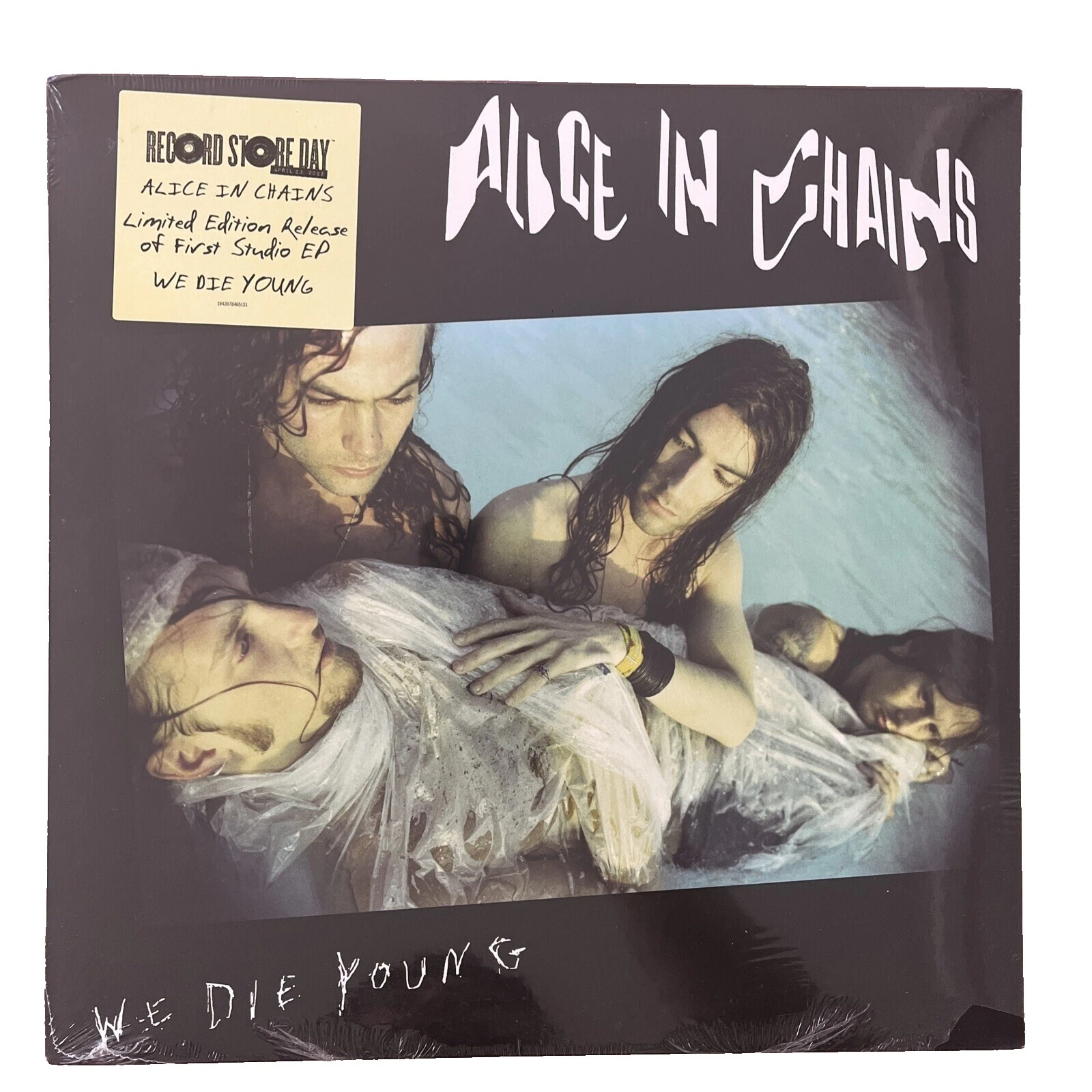 Alice in Chains Rock Grunge Vinyl Records
