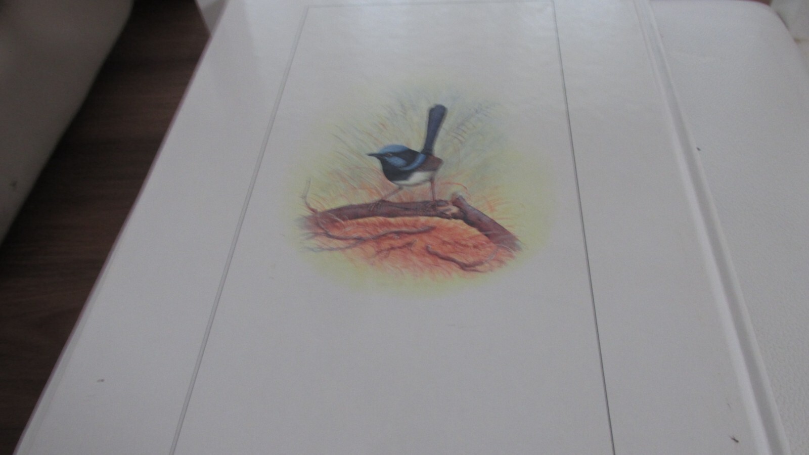 Picture 9 of 9