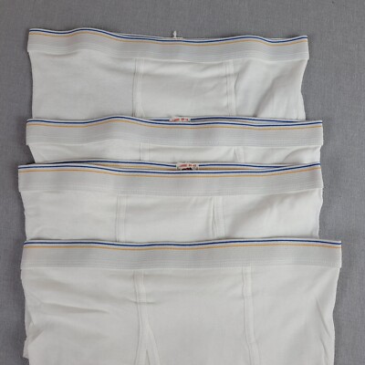Vintage Fruit The Loom USA White Underwear 2 Stripe Briefs Mens Large 38-40 Lot